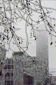 miasto - ilustracja